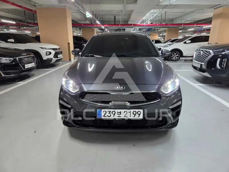 2019 KIA K3