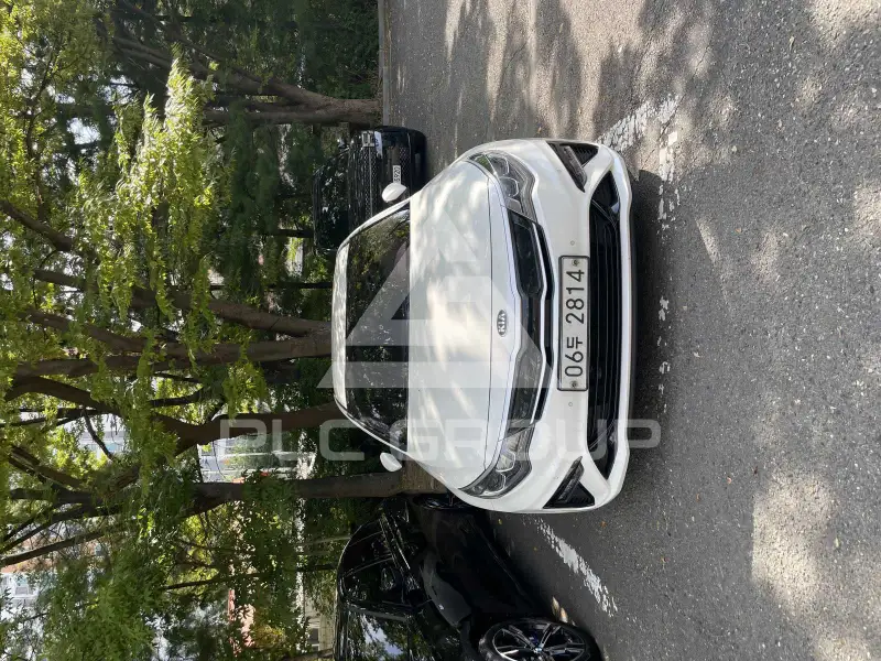 2019 KIA K5