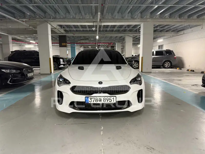 2019 KIA Stinger