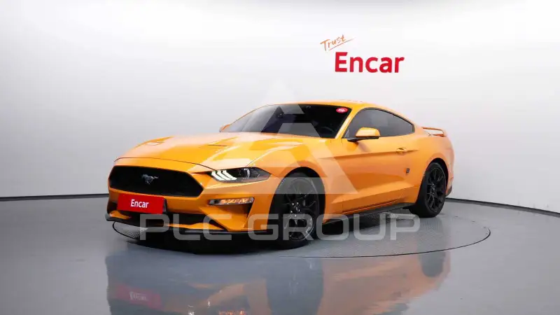 2019 Ford Mustang