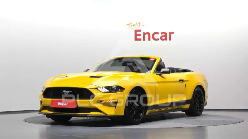 2019 Ford Mustang
