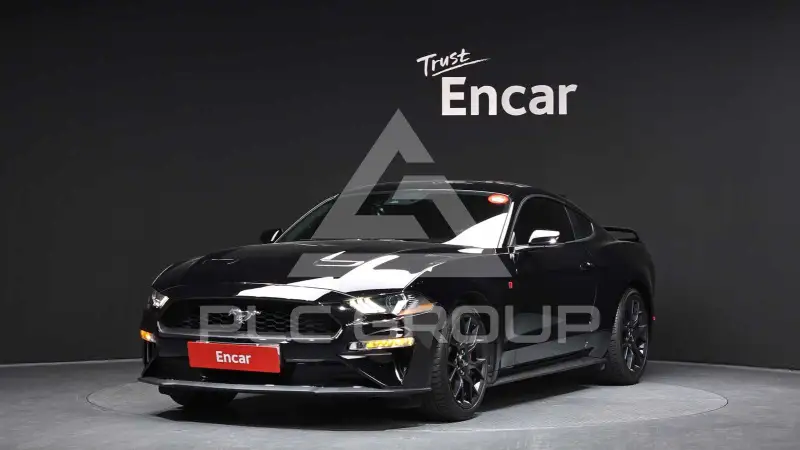 2019 Ford Mustang