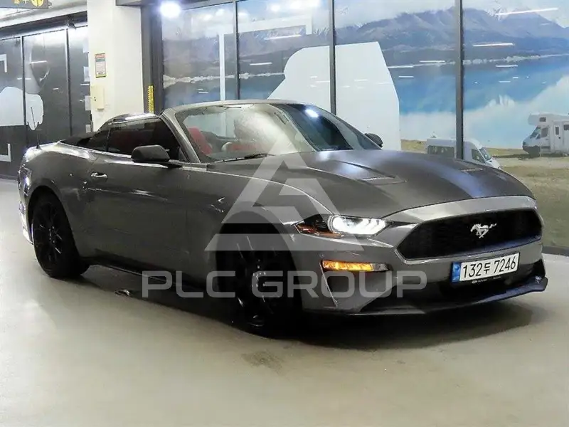 2019 Ford Mustang