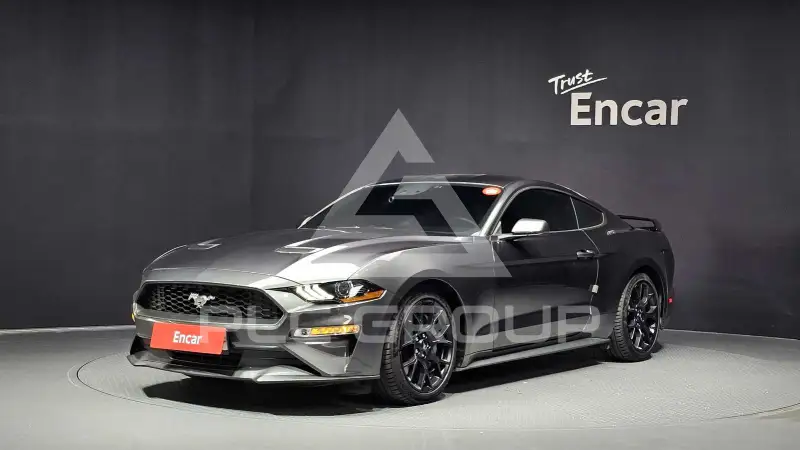 2019 Ford Mustang