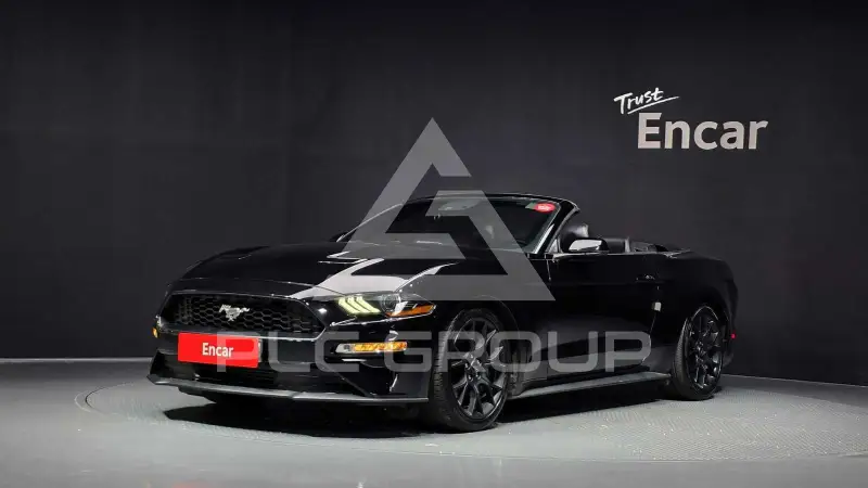 2019 Ford Mustang