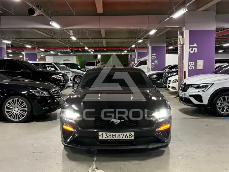 2019 Ford Mustang
