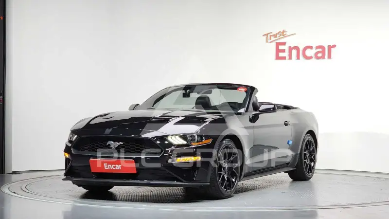 2019 Ford Mustang