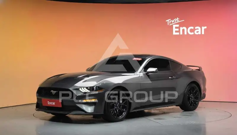 2019 Ford Mustang