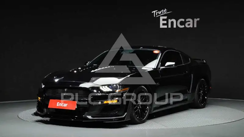2019 Ford Mustang