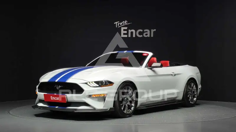 2019 Ford Mustang