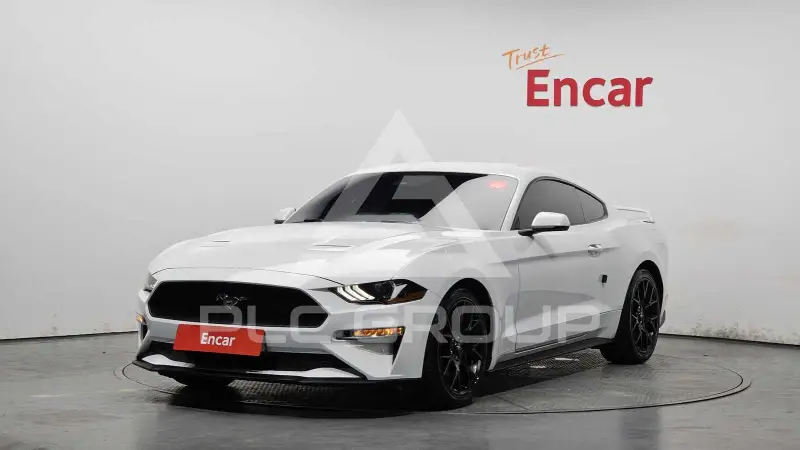 2019 Ford Mustang