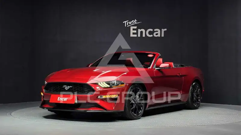2019 Ford Mustang