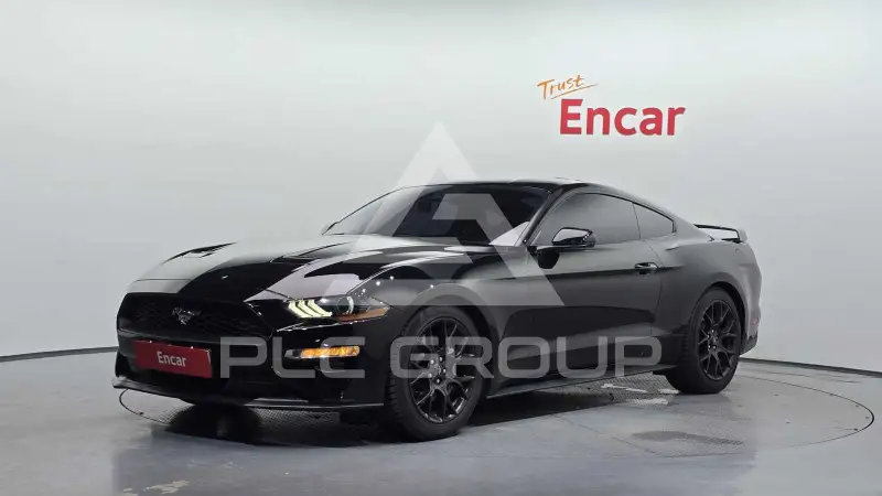 2019 Ford Mustang