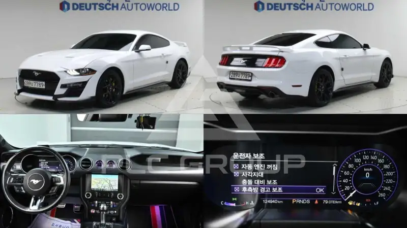 2019 Ford Mustang