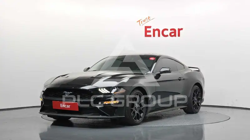 2019 Ford Mustang