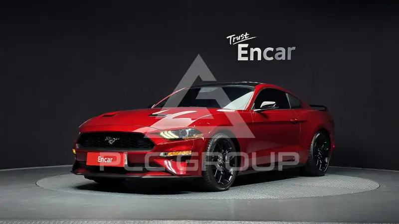2019 Ford Mustang