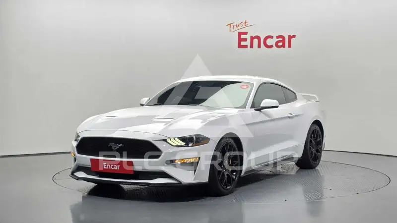 2019 Ford Mustang