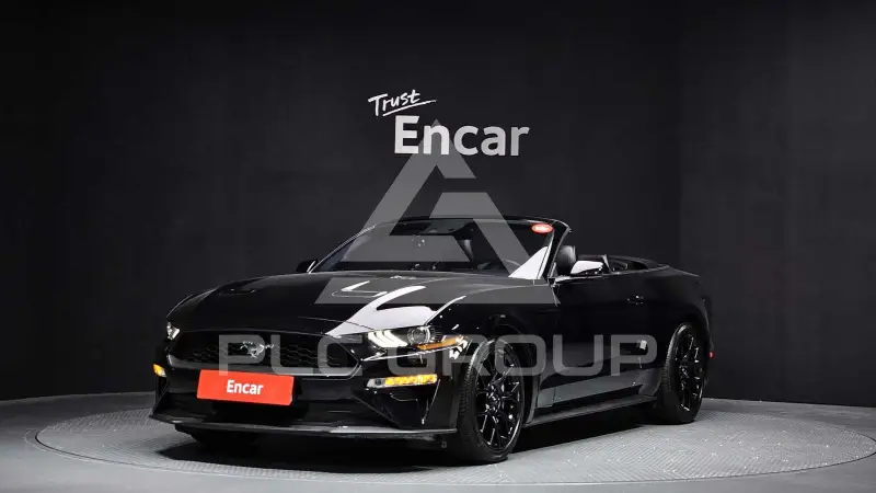 2019 Ford Mustang