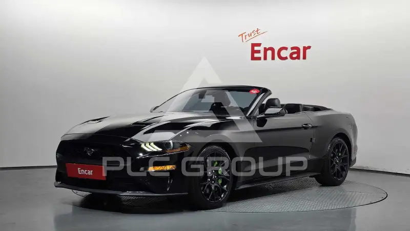 2019 Ford Mustang