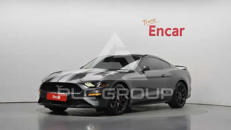 2019 Ford Mustang