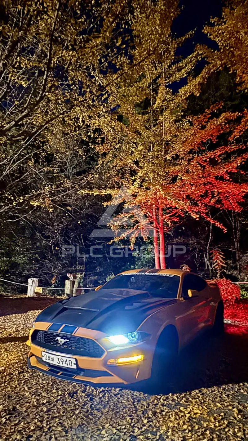 2019 Ford Mustang