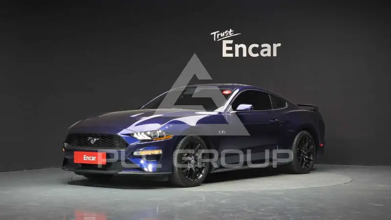 2019 Ford Mustang