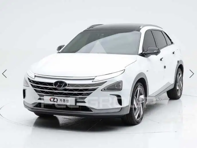 2019 Hyundai Nexo