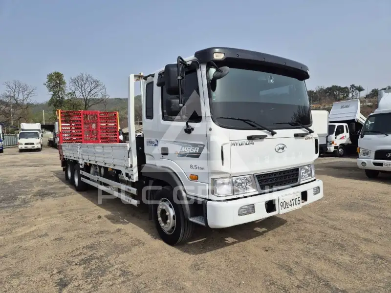 2019 Hyundai Mega truck