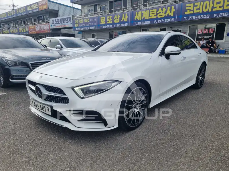 2019 Mercedes Benz CLS-Class