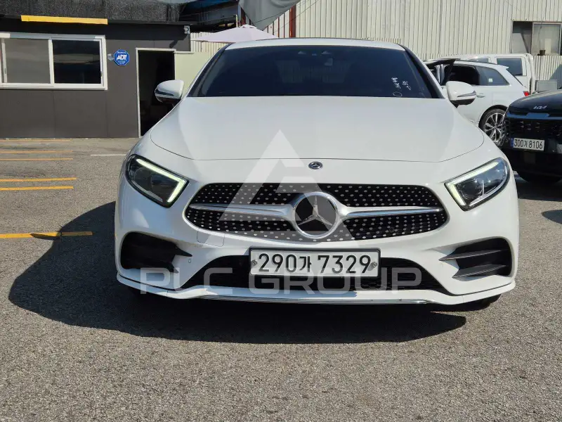 2019 Mercedes Benz CLS-Class