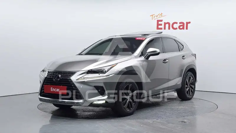 2019 Lexus NX