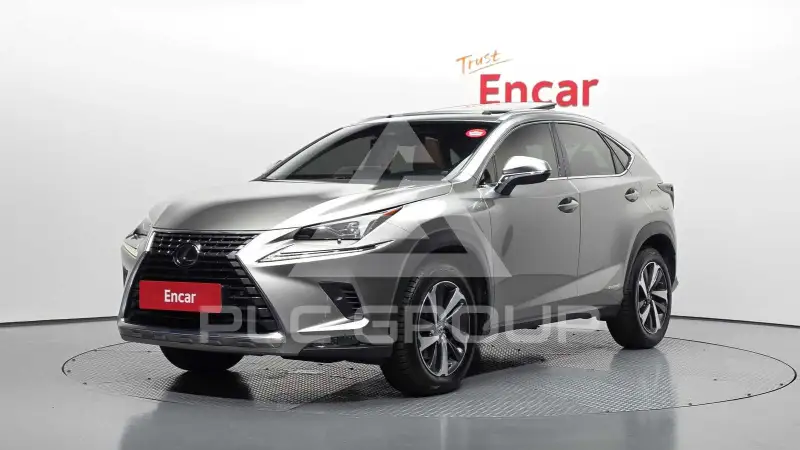 2019 Lexus NX