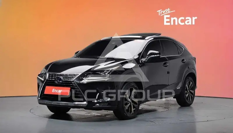 2019 Lexus NX