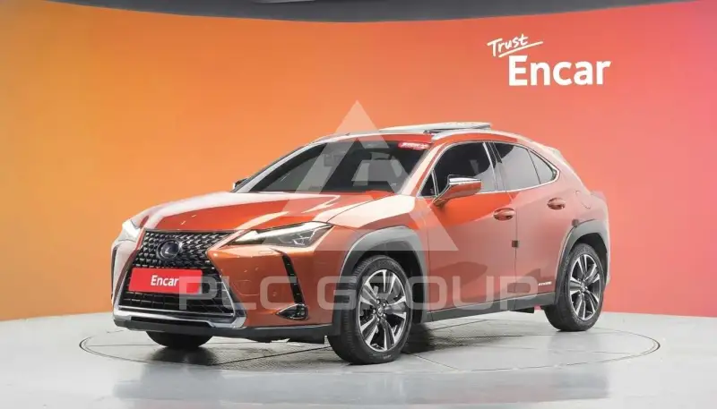 2019 Lexus UX