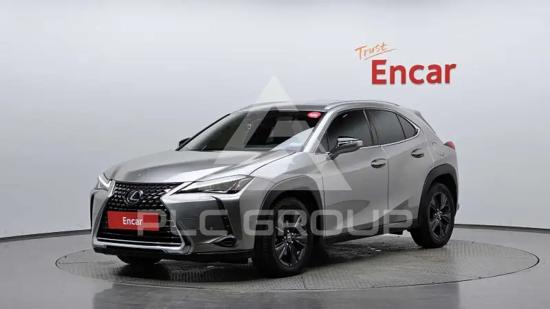 2019 Lexus UX