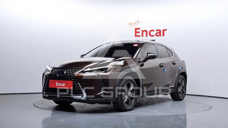 2019 Lexus UX