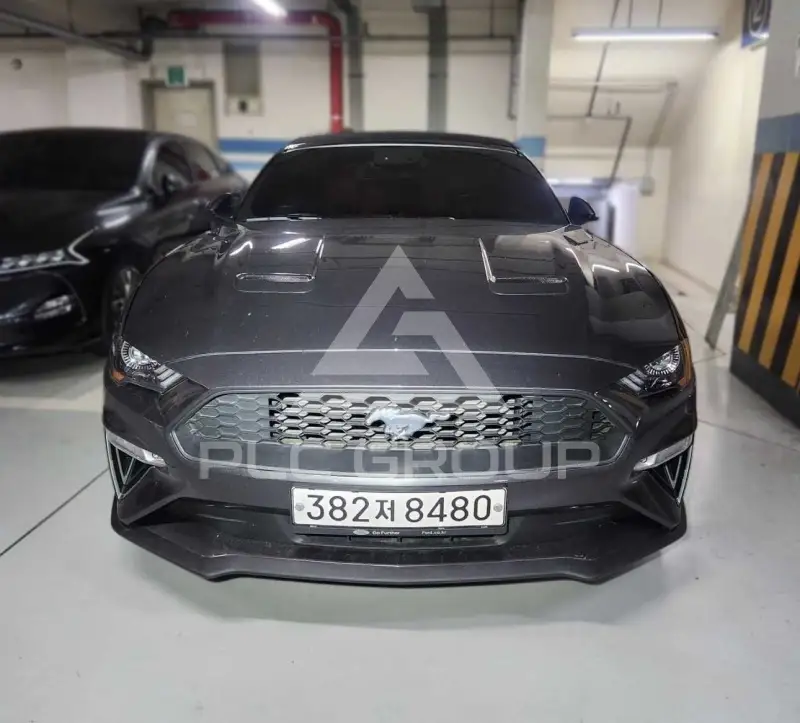 2019 Ford Mustang