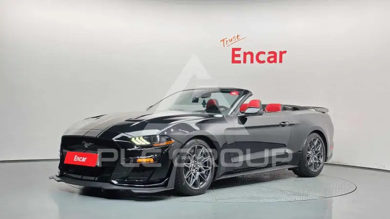 2019 Ford Mustang