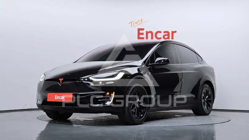 2019 Tesla Model X