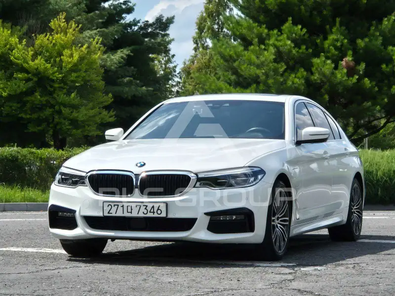 2020 BMW 530M
