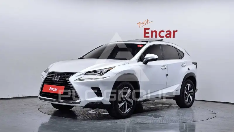 2020 Lexus NX
