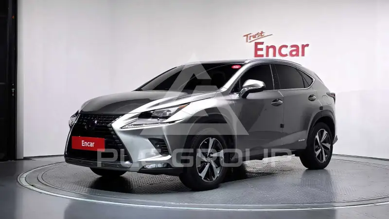2020 Lexus NX