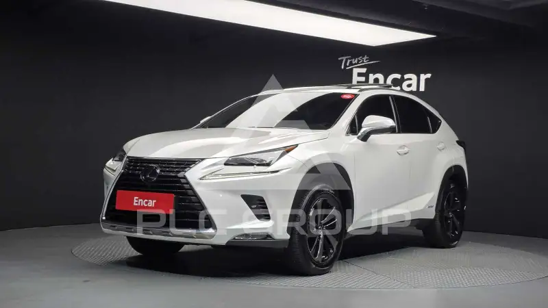 2020 Lexus NX