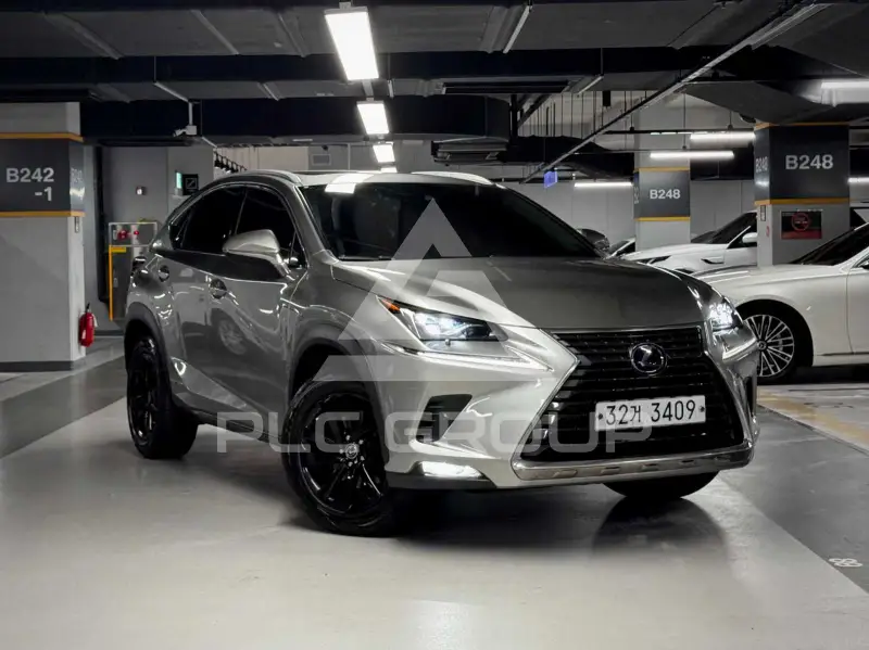 2020 Lexus NX