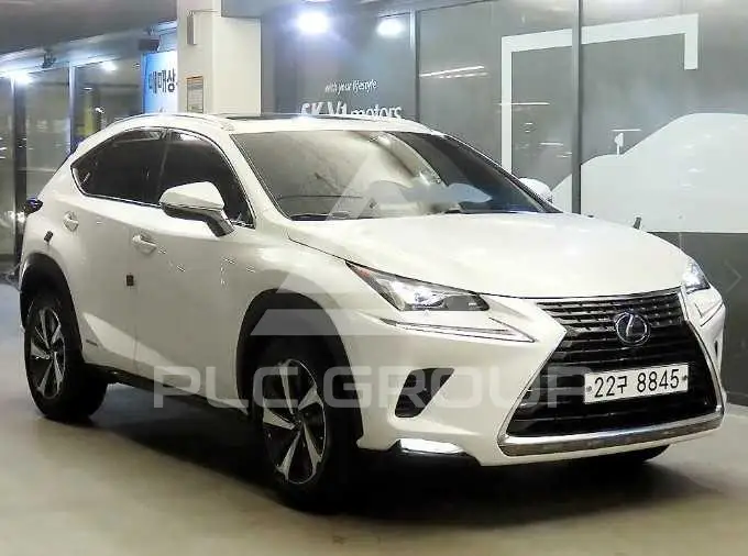 2020 Lexus NX