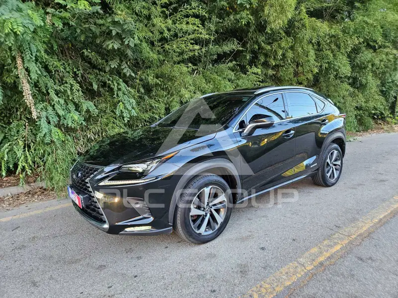 2020 Lexus NX
