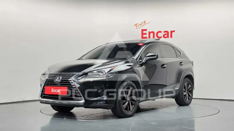 2020 Lexus NX