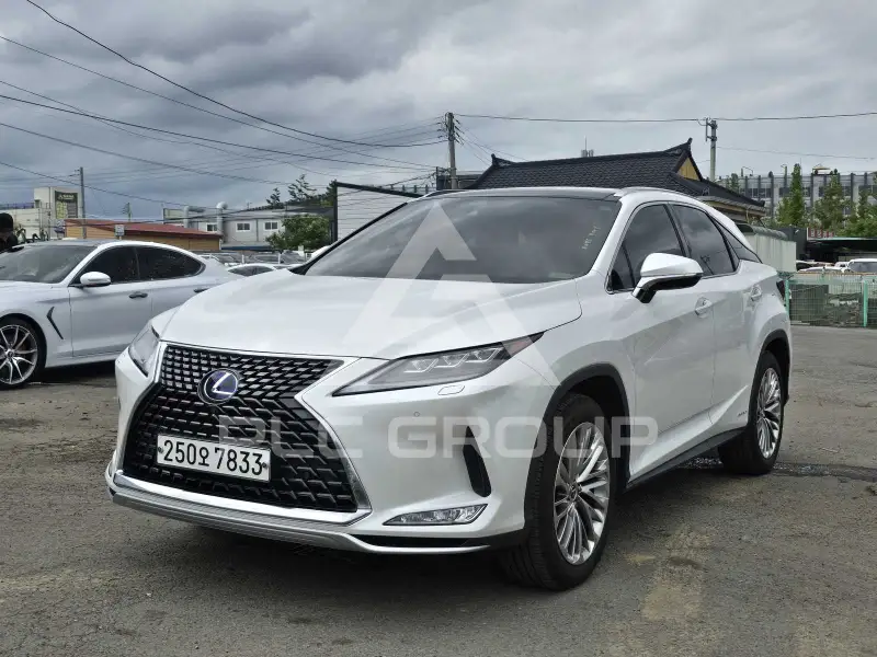 2020 Lexus RX