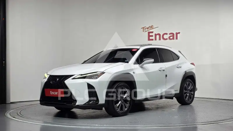 2020 Lexus UX