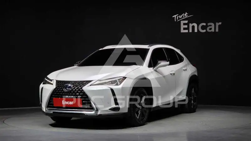 2020 Lexus UX